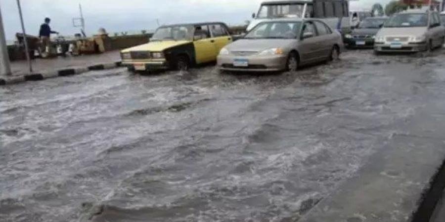 بعد العاصفة.. محافظة الإسكندرية يتعهد بدعم سائق التوك توك وعودة الحياة لطبيعتها - لايف نيوز