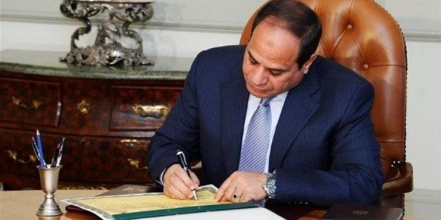 3209 فرص عمل في 59 شركة خاصة تنتظر شباب 14 محافظة - لايف نيوز