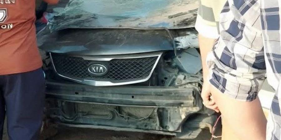 أبو ليمون يشارك مواطني المنوفية فرحة العيد: مستمرون في مواصلة جهود التنمية - لايف نيوز