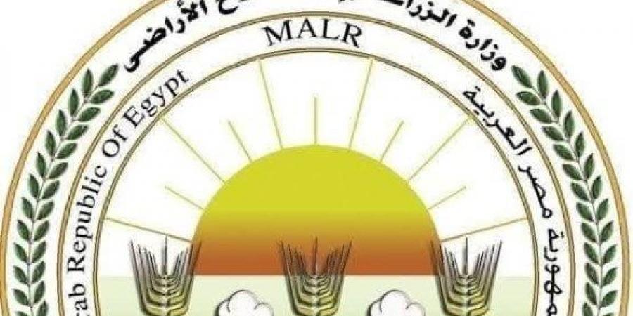 الزراعة: المجازر الحكومية استقبلت أكثر من 28 ألف أضحية في 3 أيام العيد - لايف نيوز