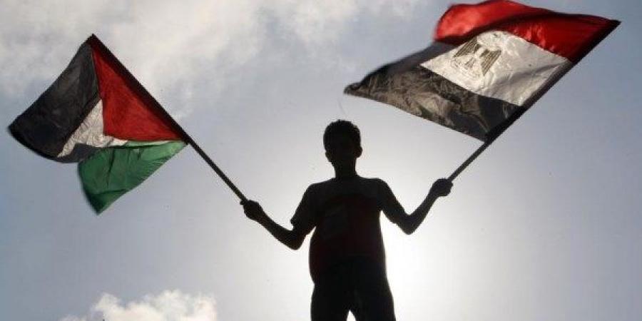 مصر والقضية الفلسطينية| دور ريادي ومواقف ثابتة لدعم الحقوق الفلسطينية.. وخبير يوضح أبعاد التحركات المصرية - لايف نيوز