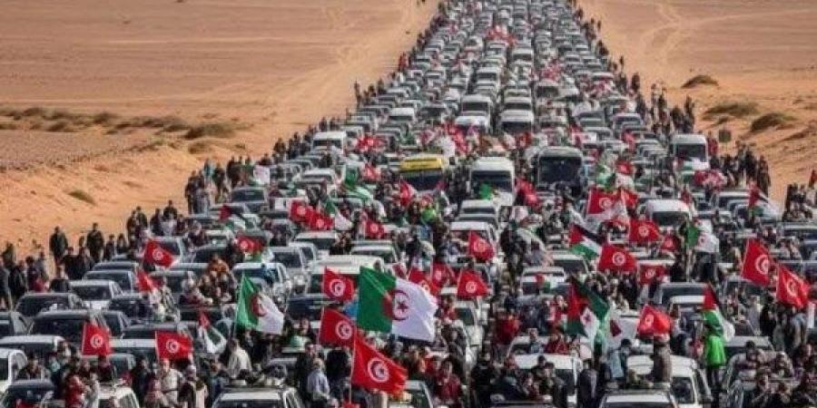 رضا فرحات: قافلة الصمود هدفها تشويه الدور المصري ونعلم من وراؤها - لايف نيوز