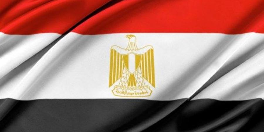 برلمانية: الزج باسم مصر لتشويه دورها في القضية الفلسطينية محاولات فاشلة وجهودها يراها العالم - لايف نيوز