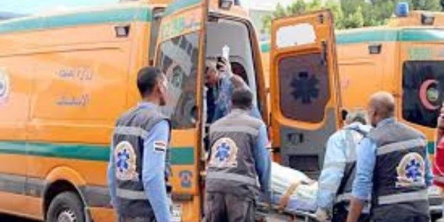 ننشر أسماء ضحايا انقلاب ميكروباص على طريق أسيوط الغربي - لايف نيوز