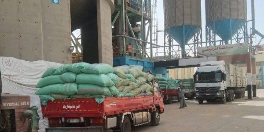 محافظ المنيا:  توريد 507 آلاف طن قمح بالشون والصوامع - لايف نيوز