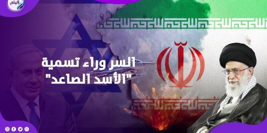 الأسد الصاعد.. سر تسمية ضربات إسرائيل ضد إيران وعلاقته بالتوراة - لايف نيوز