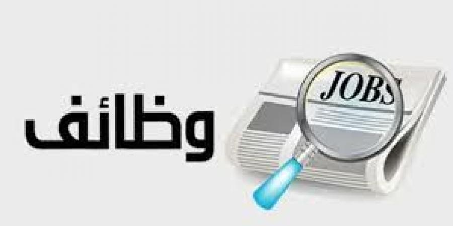وظائف خالية في بنك قناة السويس 2025 - لايف نيوز
