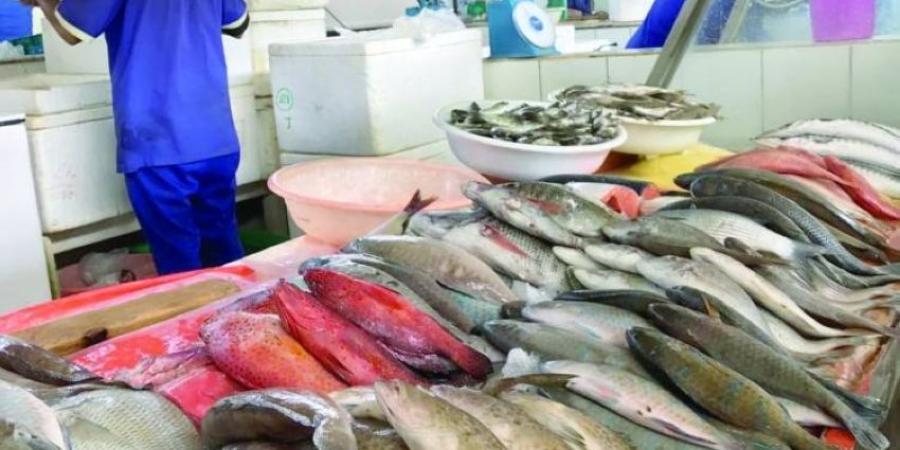 ارتفاع أسعار الأسماك 20% لكثرة الطلب وقلة المعروض - لايف نيوز
