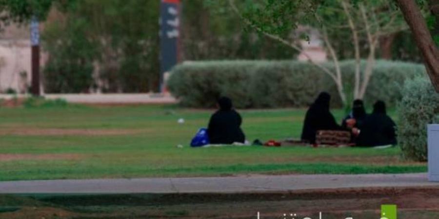 أمانة حفر الباطن تصين (552,000) م2 من الحدائق والمسطحات الخضراء - لايف نيوز