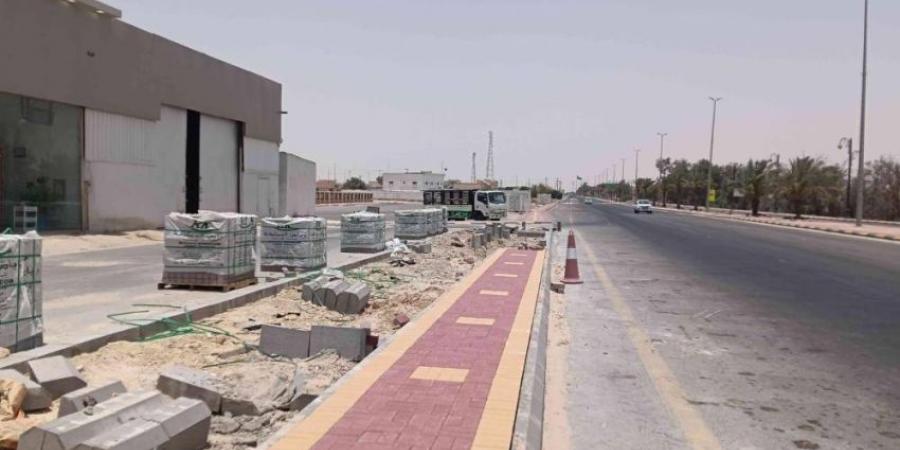إنجاز 30% لمشروع السفلتة والأرصفة والإنارة في الصرار - لايف نيوز