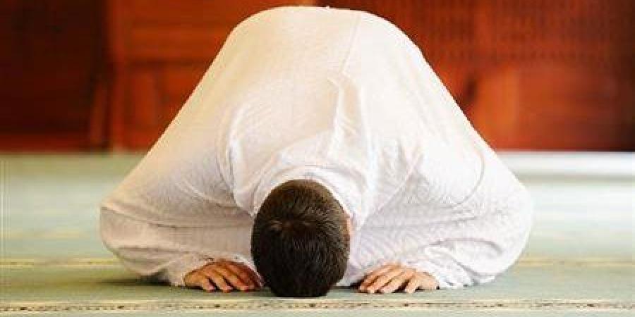 هل نسيان تسبيحة الركوع يستوجب سجود السهو؟.. الإفتاء تجيب - لايف نيوز