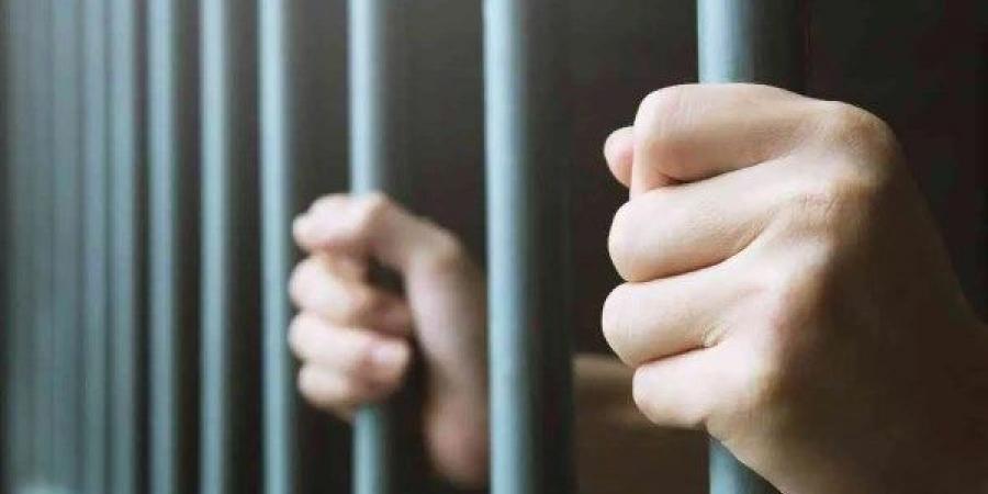 الحبس سنة عقوبة إدارة مركز لتعليم قيادة السيارات دون ترخيص - لايف نيوز