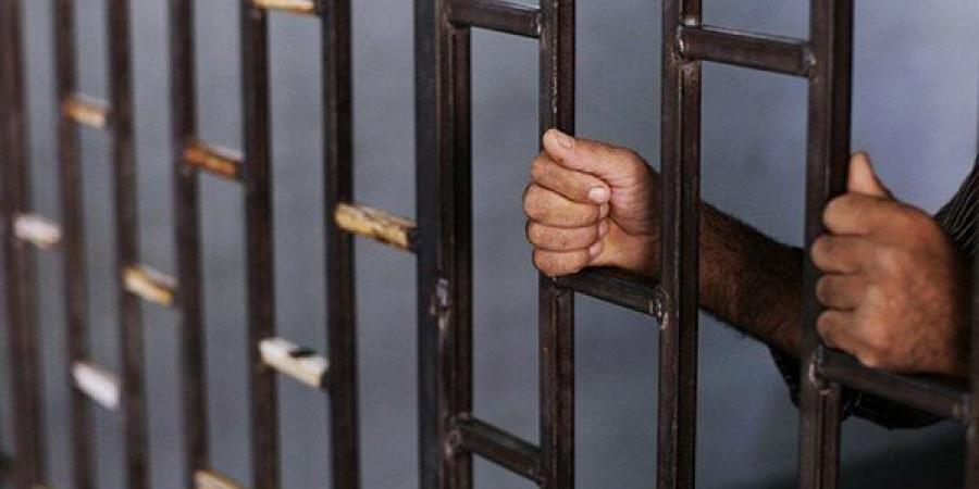 الحبس مع الشغل.. احذر عقوبة قتل الحيوانات عمدًا في القانون - لايف نيوز