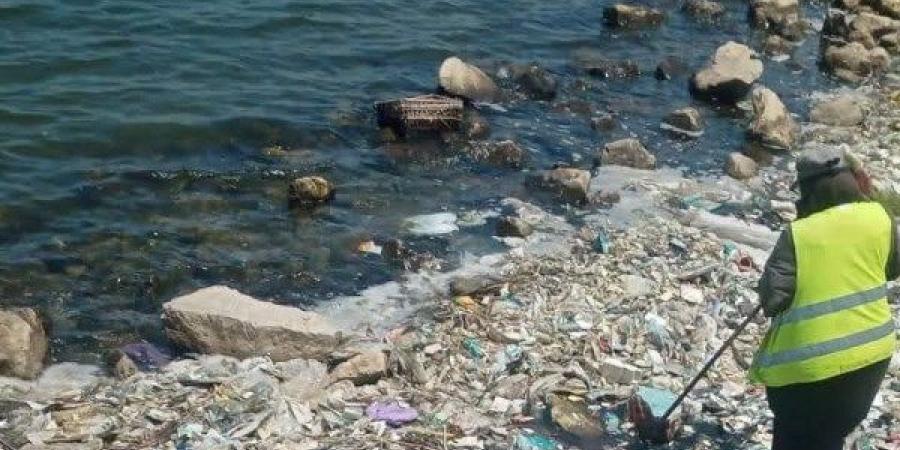 تطهير جسور النيل وإطلاق حملات لمكافحة الحشرات والقوارض بدمياط - لايف نيوز