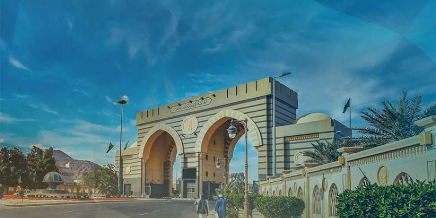 مبادرة لدعم الأبحاث البينية التطبيقية بالجامعة الإسلامية - لايف نيوز