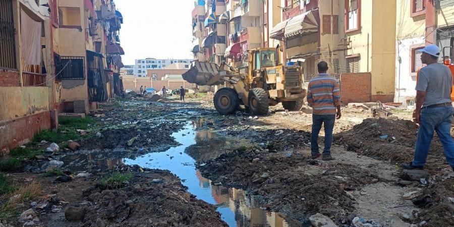 استمرار أعمال تطوير ورفع كفاءة منطقة صفوة زهور بورسعيد - لايف نيوز
