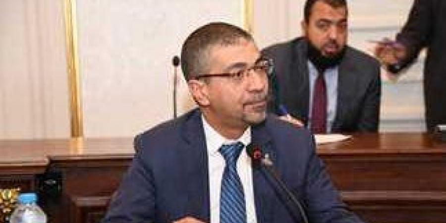 برلماني: 30 يونيو كانت فاصلًا حاسمًا بين الفوضى والاستقرار - لايف نيوز