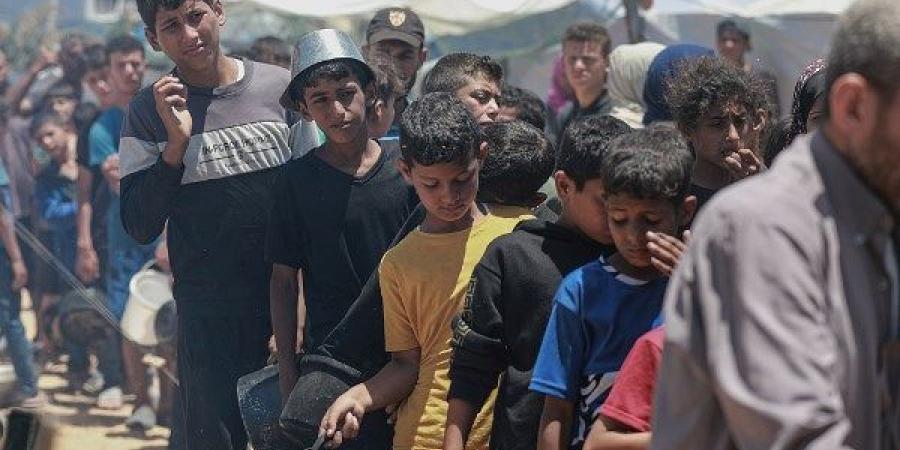 ألمانيا تعرب عن قلقها لسقوط ضحايا أثناء توزيع المساعدات في غزة - لايف نيوز