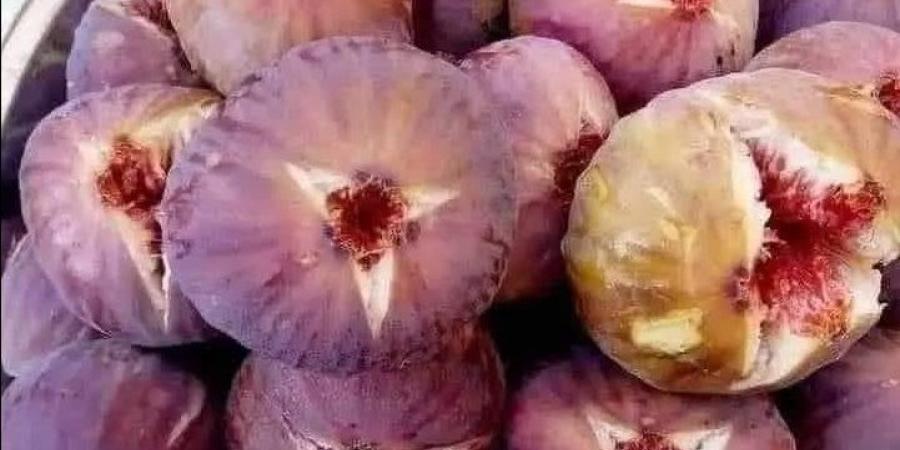 بأقل التكاليف .. طريقة عمل مربى التين البرشومي - لايف نيوز