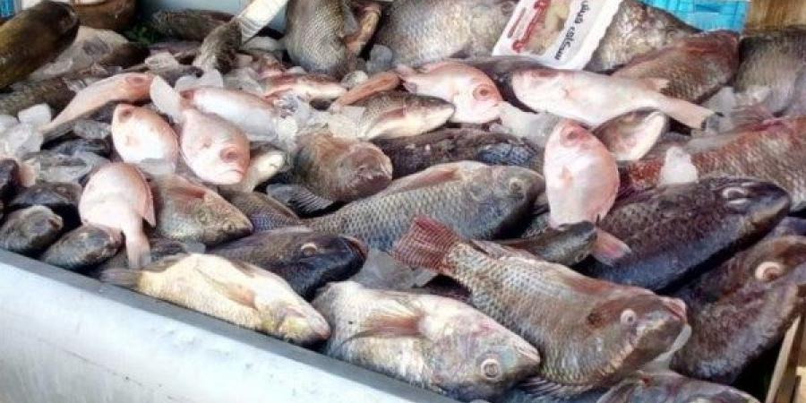 استقرار أسعار الأسماك بأسواق الوادي الجديد - لايف نيوز