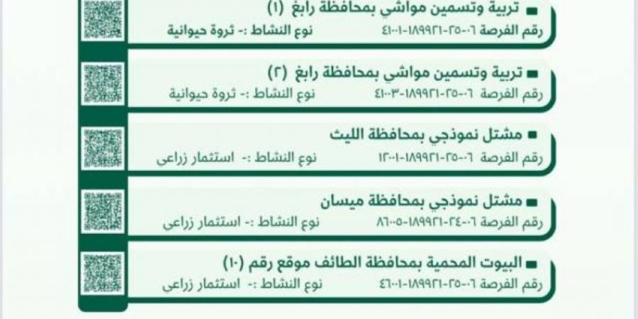 “بيئة مكة المكرمة” تطرح فرصًا استثمارية واعدة في القطاعين الزراعي والحيواني - لايف نيوز