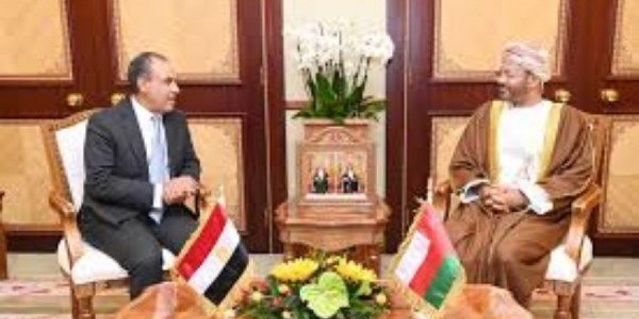 وزيرا خارجية مصر وسلطنة عمان يعقدان جلسة مباحثات موسعة ويؤكدان عمق العلاقات الثنائية - لايف نيوز