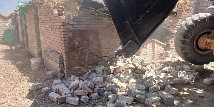 محافظة الإسكندرية: حملات مكبرة لإزالة أعمال البناء المخالف بأحياء الثغر - لايف نيوز