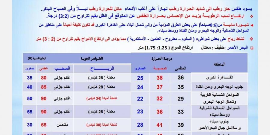 طقس الغد: شبورة مائية كثيفة تغطي شمال البلاد.. ورياح نشطة ببعض المناطق - لايف نيوز