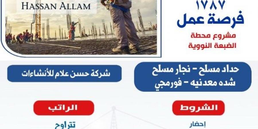 2949 فُرصة عمل للشباب في 10 محافظات.. تفاصيل - لايف نيوز