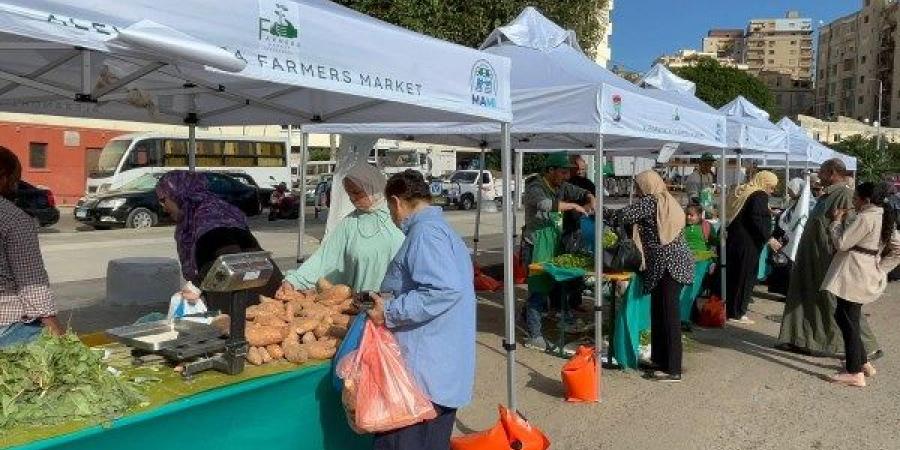 إقبال كبير على سوق اليوم الواحد للمواد الغذائية شمال الغردقة - لايف نيوز