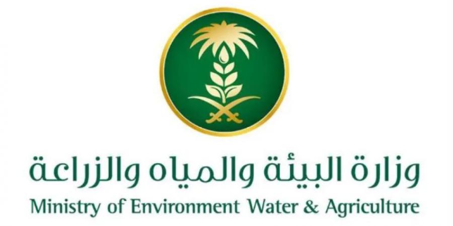 مكاتب البيئة بمنطقة مكة المكرمة تواصل تنفيذ مبادرات سقيا المزروعات - لايف نيوز