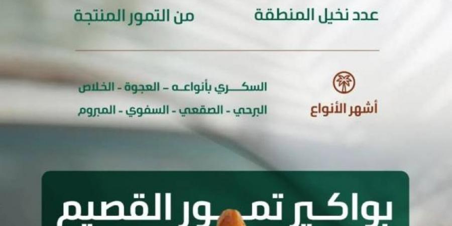 البيئة: موسم جني التمور بالقصيم يعزز الحراك الاقتصادي بالمملكة بإنتاج (390) ألف طن - لايف نيوز
