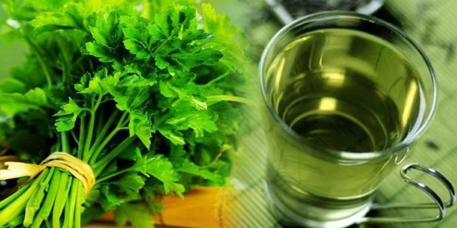 عشبة غير متوقعة تطرد السموم من الجسم.. احترس من الإسراف - لايف نيوز