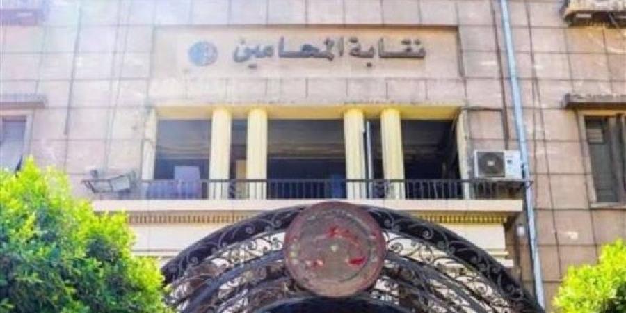 أسباب امتناع المحامين عن الحضور أمام بعض الدوائر القضائية والنيابات - لايف نيوز