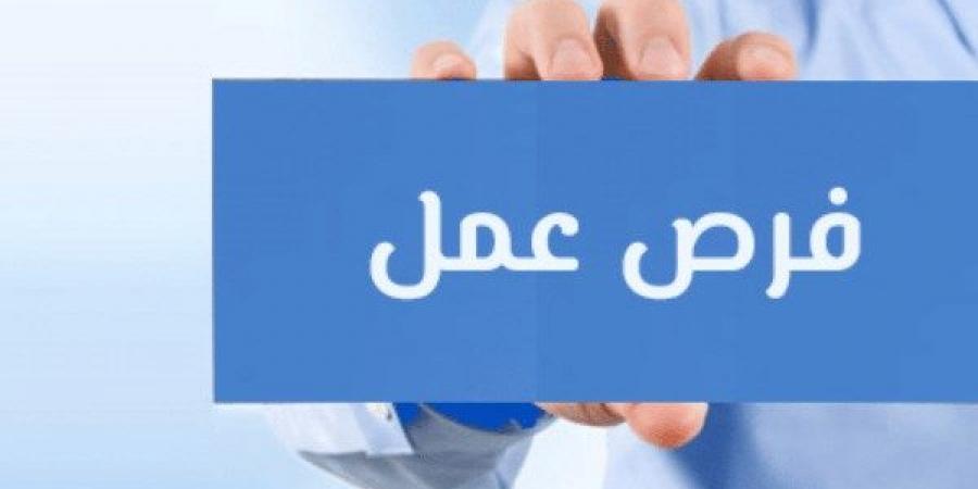 فرص عمل بالأردن.. 15 وظيفة في تربية الدواجن تنتظر الشباب - لايف نيوز