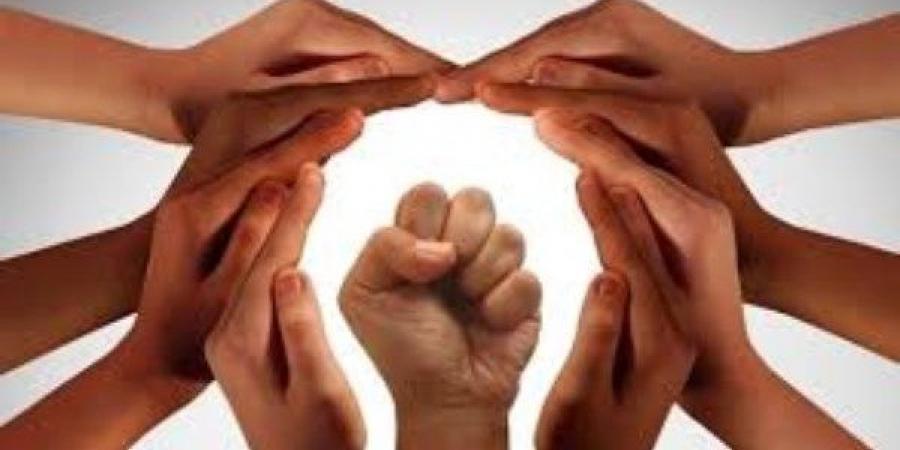 عصام شيحة: مصر من أوائل الدول المشاركة في وضع الميثاق العالمي لحقوق الإنسان - لايف نيوز