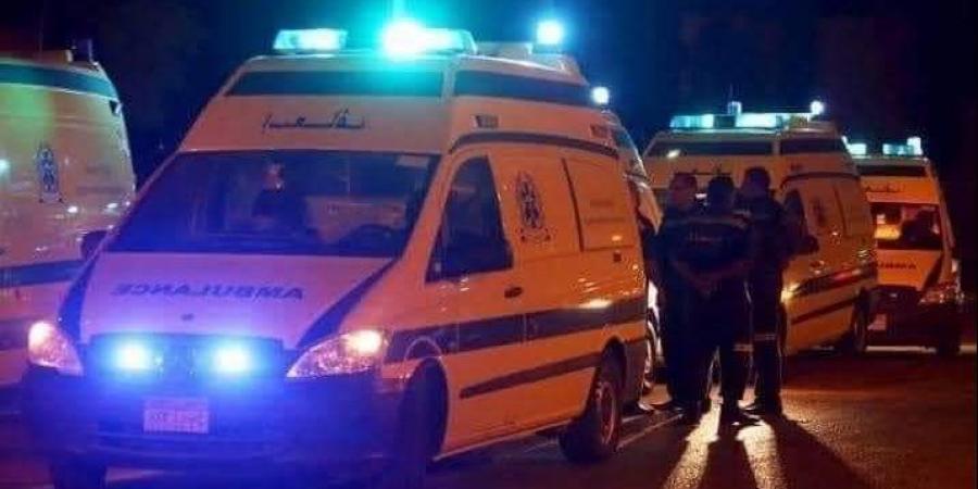 إصابة 8 أشخاص في تصادم ميكروباص برصيف بالشرقية - لايف نيوز