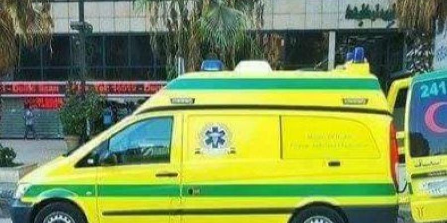 بسبب عطل تقني.. إسعاف البحيرة تخصص أرقامًا بديلة لتلقي البلاغات في الحالات الطارئة والحوادث - لايف نيوز