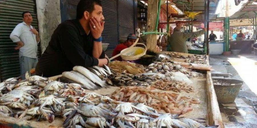 أسعار الأسماك والمأكولات البحرية اليوم الاثنين 7 يوليو 2025 - لايف نيوز