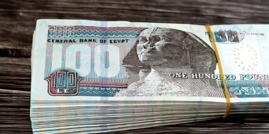 رفع مرتبات الحكومة 200% رسميًا لهؤلاء الموظفين.. هل أنت منهم؟ - لايف نيوز