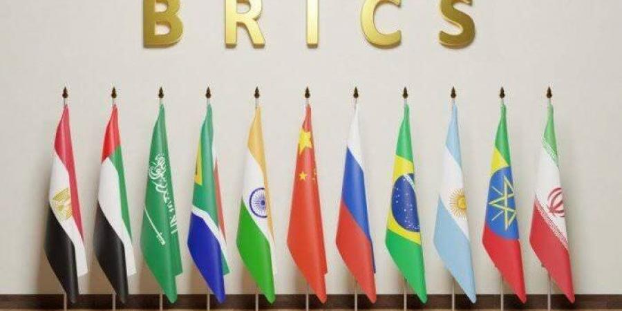 كجوك: نتطلع إلى دور أكبر لـ «البريكس» فى إيجاد حلول مبتكرة لأزمة الديون.. نواب: نقلة نوعية لمساندة الاقتصادات الناشئة..ونواة مهمة في تغيير السياسة الدولية - لايف نيوز