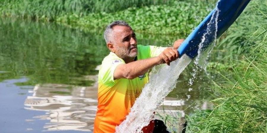 لتنمية المسطحات المائية بالإسماعيلية.. إنزال 50 ألف زريعة بلطي ببحيرة الصيادين - لايف نيوز