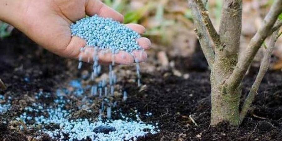 التصديري للصناعات الكيماوية: نستهدف تحقيق 15 مليار دولار صادرات خلال 2030 - لايف نيوز