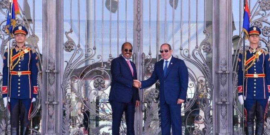 عماد الدين حسين: مصر تسعى لدعم الصومال أمنيًا وعسكريًا لمواجهة الإرهاب - لايف نيوز