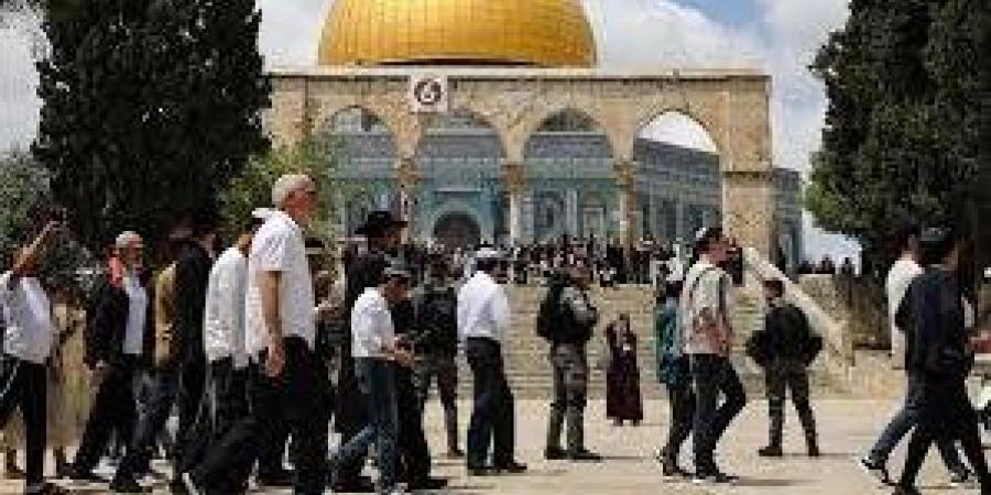 انتهاك جديد لقدسية الأقصى.. المستوطنون يقتحمون الباحات تحت حماية الاحتلال| تقرير - لايف نيوز