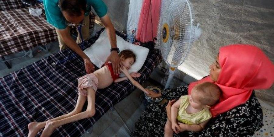 الأمم المتحدة.. مجاعة في غزة بسبب إسرائيل.. 1 من كل 3 لم يأكل منذ أيام - لايف نيوز
