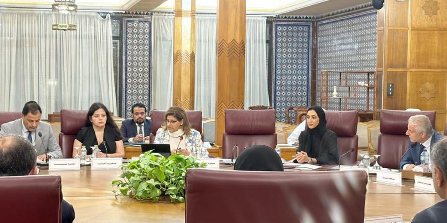 «الخارجية»: إيماننا تام بالمواثيق العربية والدولية لحقوق الإنسان - لايف نيوز